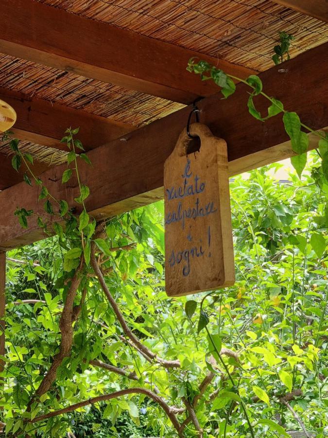 Villa Pina Laigueglia Dış mekan fotoğraf